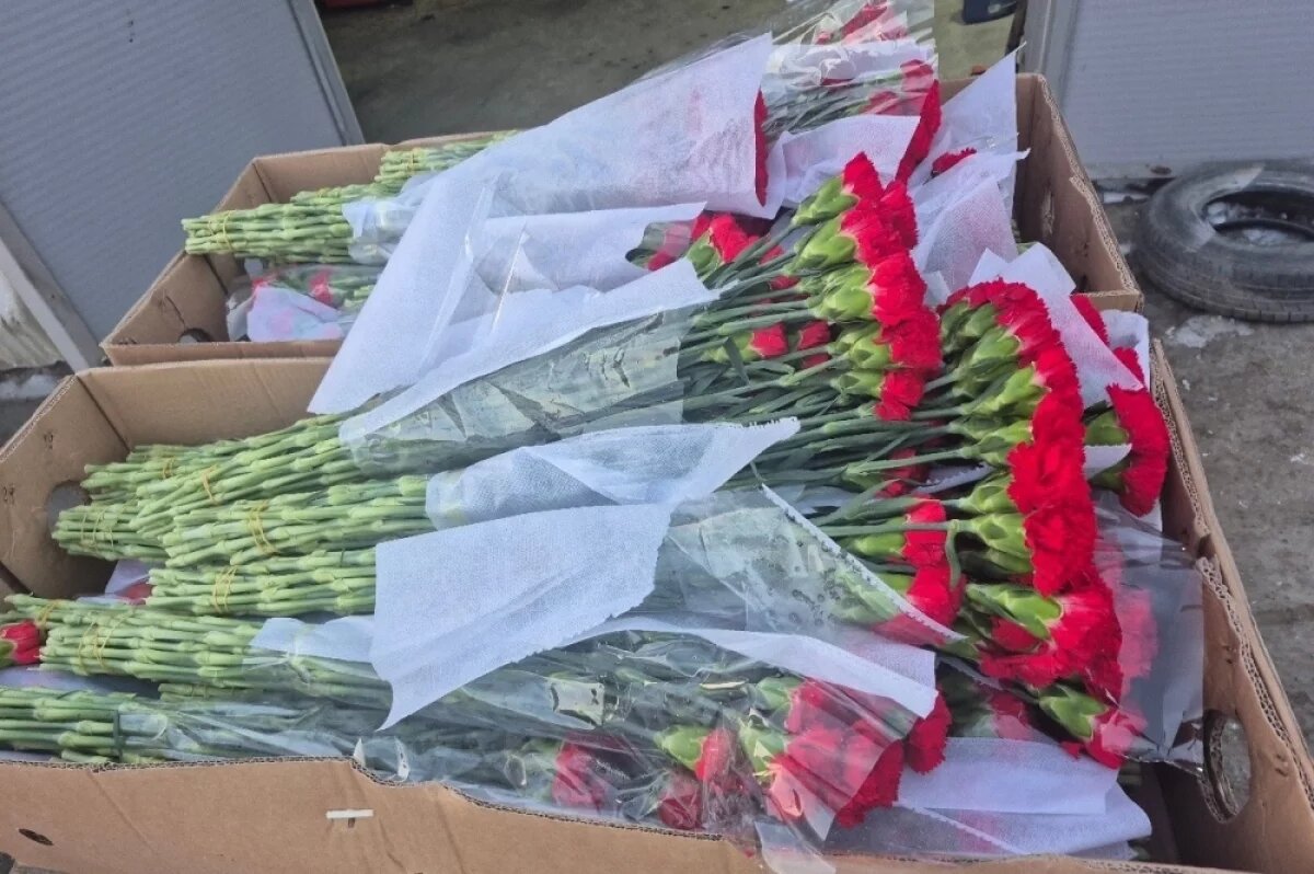    В Приморье уничтожат 12,5 тысячи китайских гвоздик с вредителем