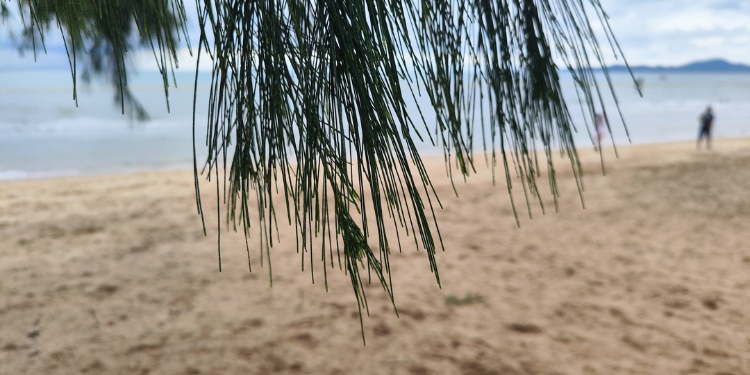 ДЖЕНТРИФИКАЦИЯ ПО-АЗИАТСКИ: ПОЧЕМУ ВАШ «ДЕШЕВЫЙ РАЙ» В ПАТТАЙЕ ИЛИ НЯЧАНГЕ РАЗРУШАЕТ ЖИЗНЬ МЕСТНЫХ?