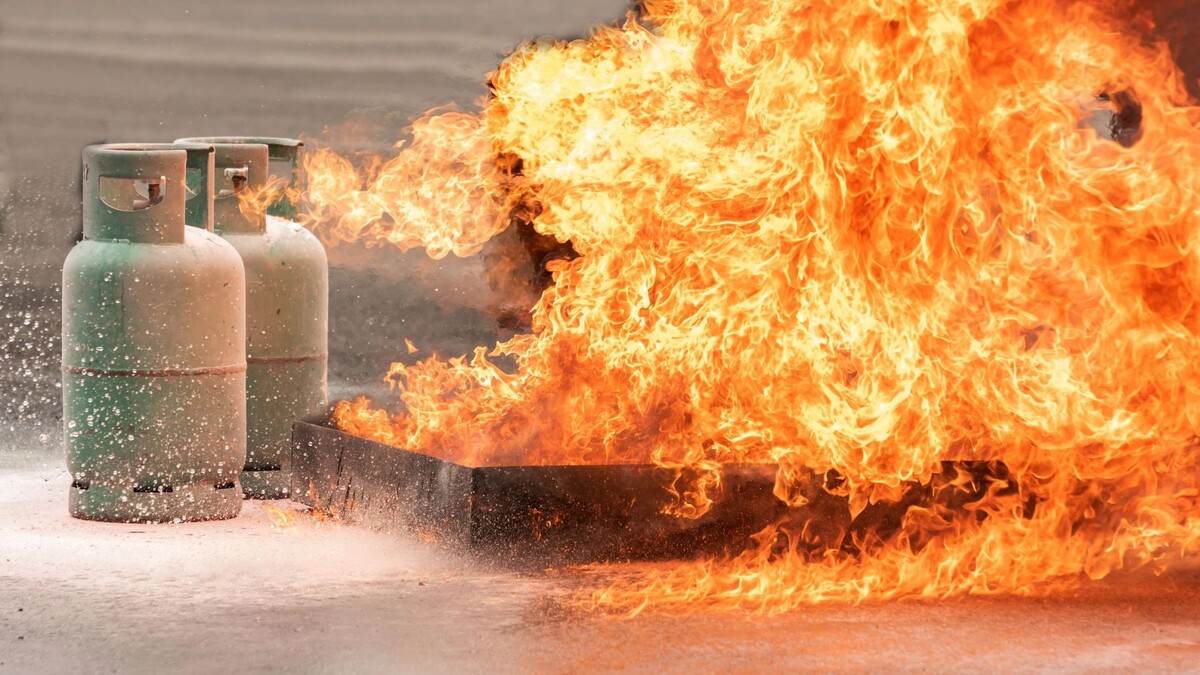    Фото: APChanel/Shutterstock/Fotodom