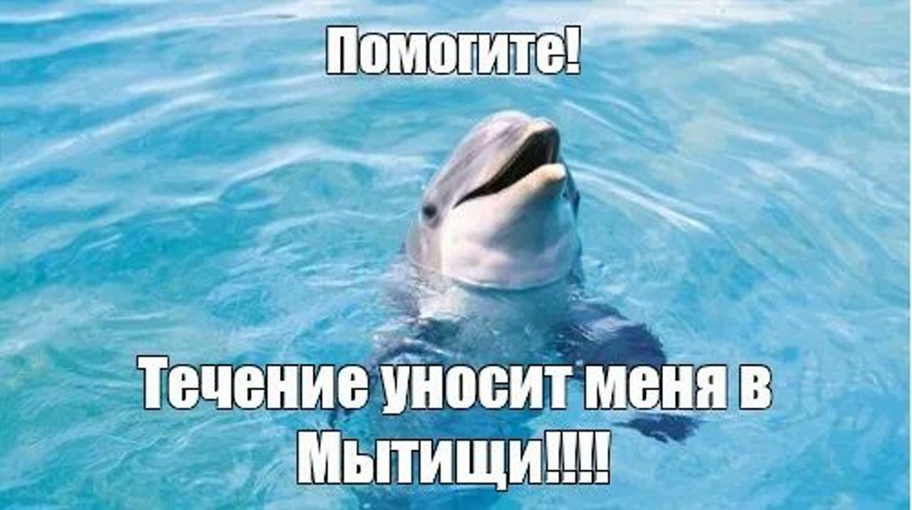 Из открытых источников.