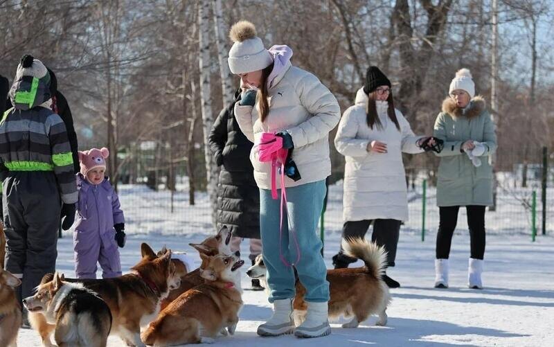 Листайте вправо, чтобы увидеть больше изображений