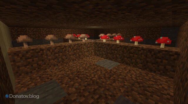    Грибы в земляном погребе