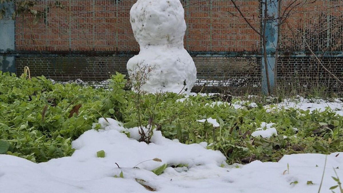    Фото: телеканал «Краснодар»