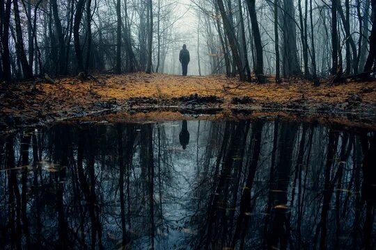 Изображение взято из открытых источников интернета. 