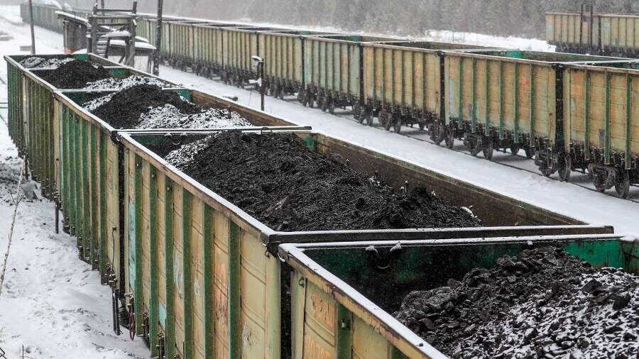    Фото: Global Look Press/Bulkin Sergey