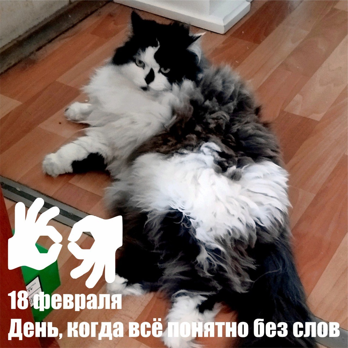🐾 Комментарий Котейки По Имени Роршах: