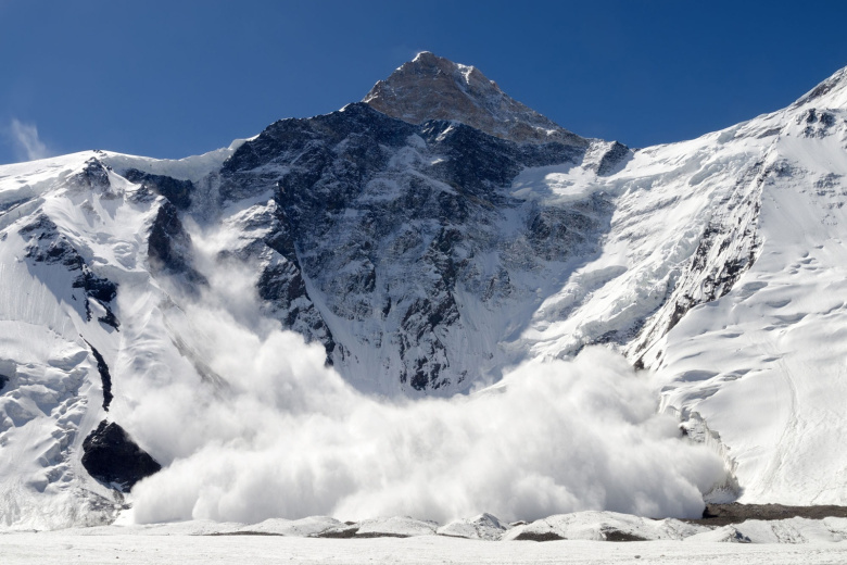    Shutterstock/FOTODOM