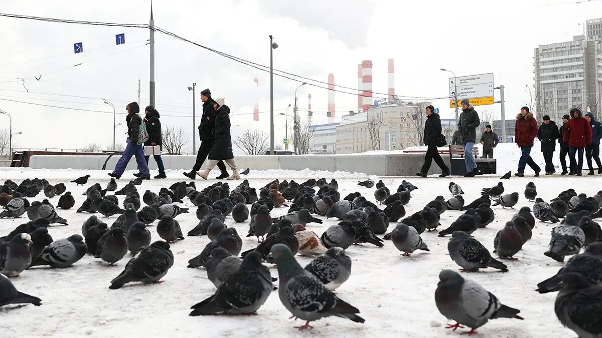    Фото: vm.ru Владимир Бондарев