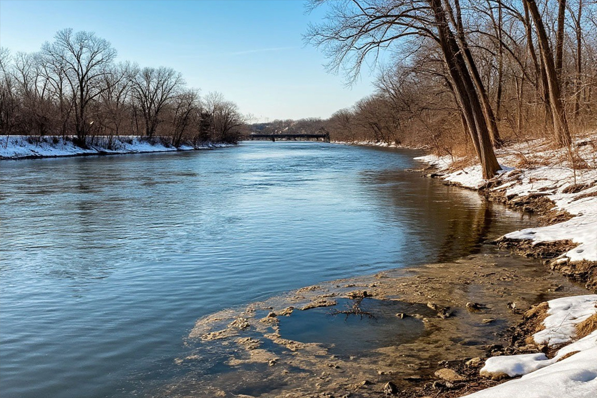    Фото: коллаж RuNews24.ru