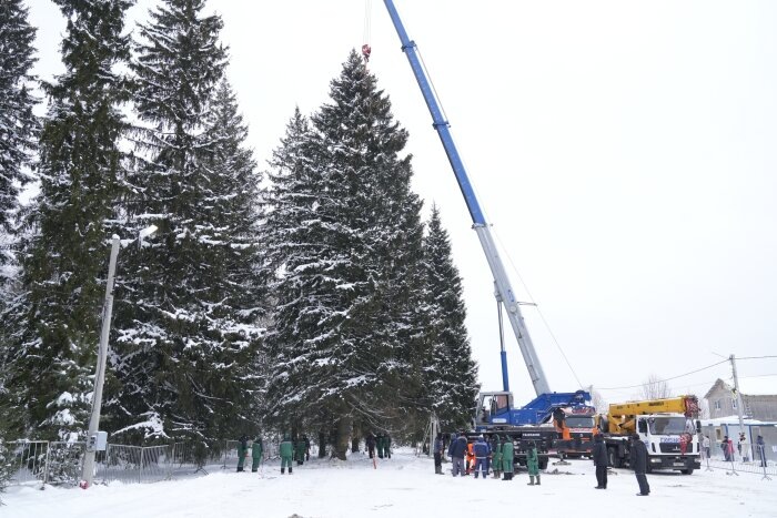    Источник фото: Пресс-служба правительства Московской области