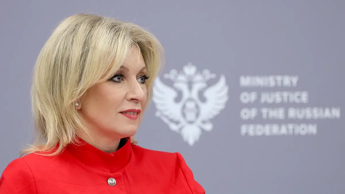    Фото: vm.ru Алиса Седова