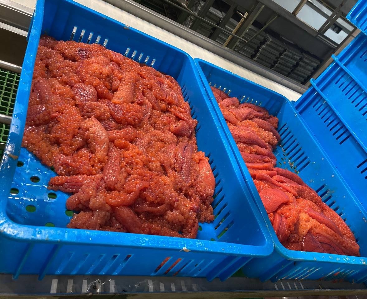    фото предоставлены автором