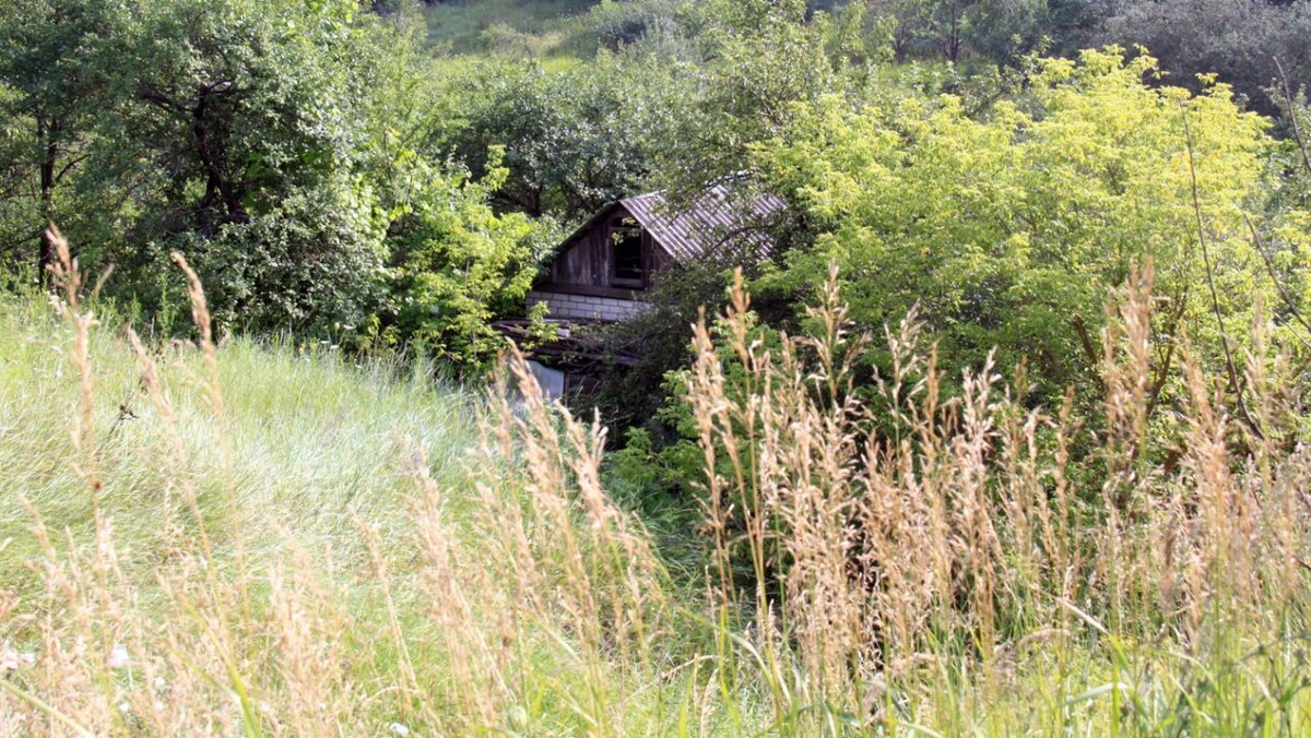    Фото: из архива «МОЁ!»