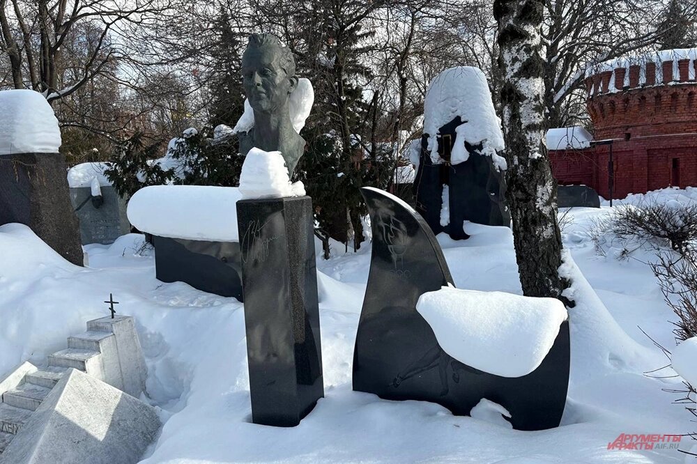    Могила Валерия Брумеля. Фото: АиФ/ Егор Борзов