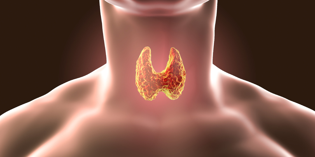 «Мне сказали пить гормоны пожизненно» А можно обойтись без них? Правда о щитовидке