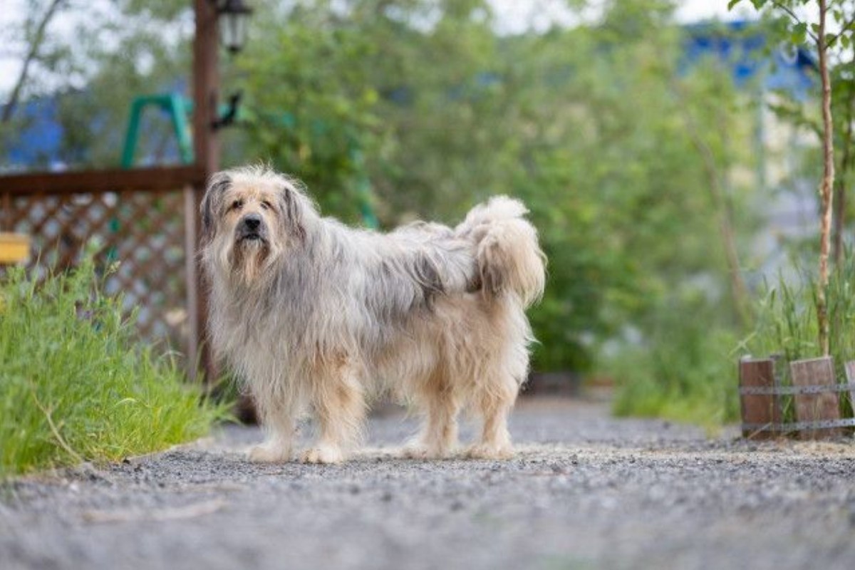    Фото: Рамиля Нуриева | Вестник Сургутского района