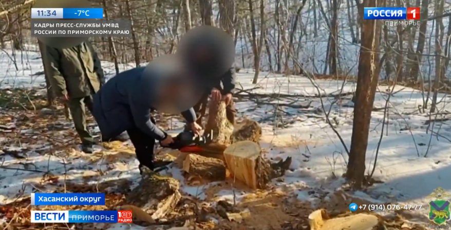    Источник фото: