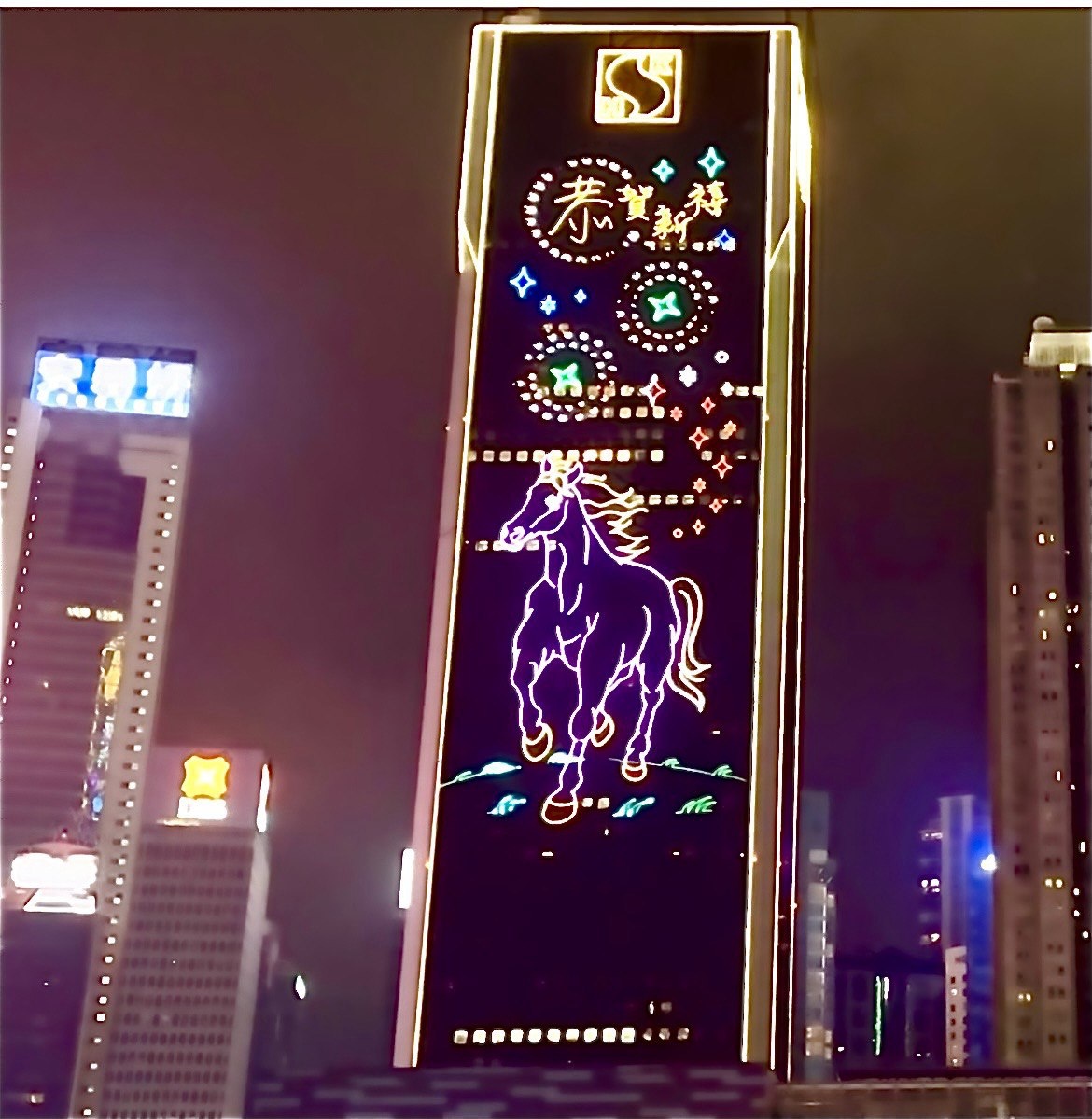 А вот и лошадь