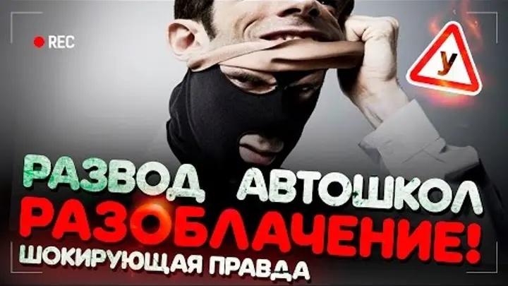 Сколько на самом деле стоят права? Скрытые платежи автошкол и как «Колесо» их отменило