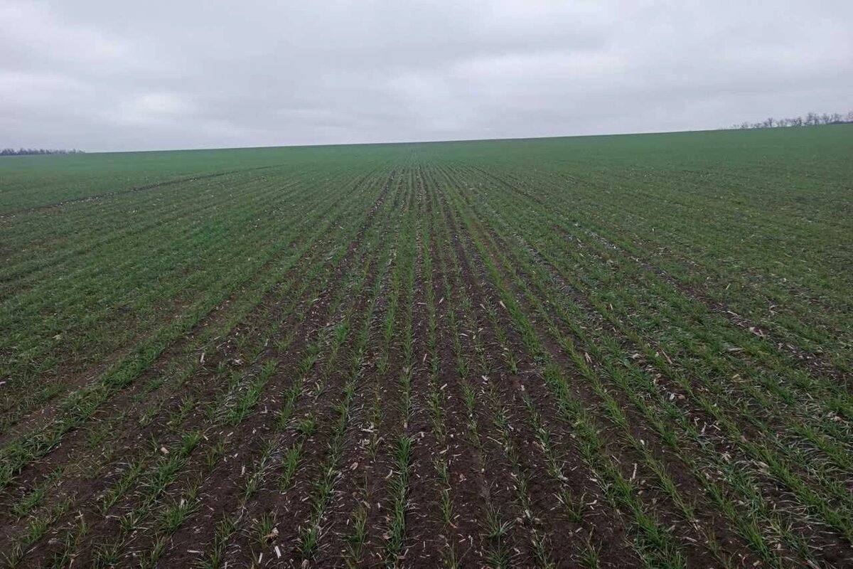    Фото: Правительство Ростовской области