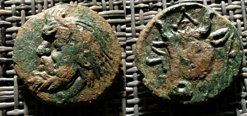 Как-то так выглядели самые древние лепты