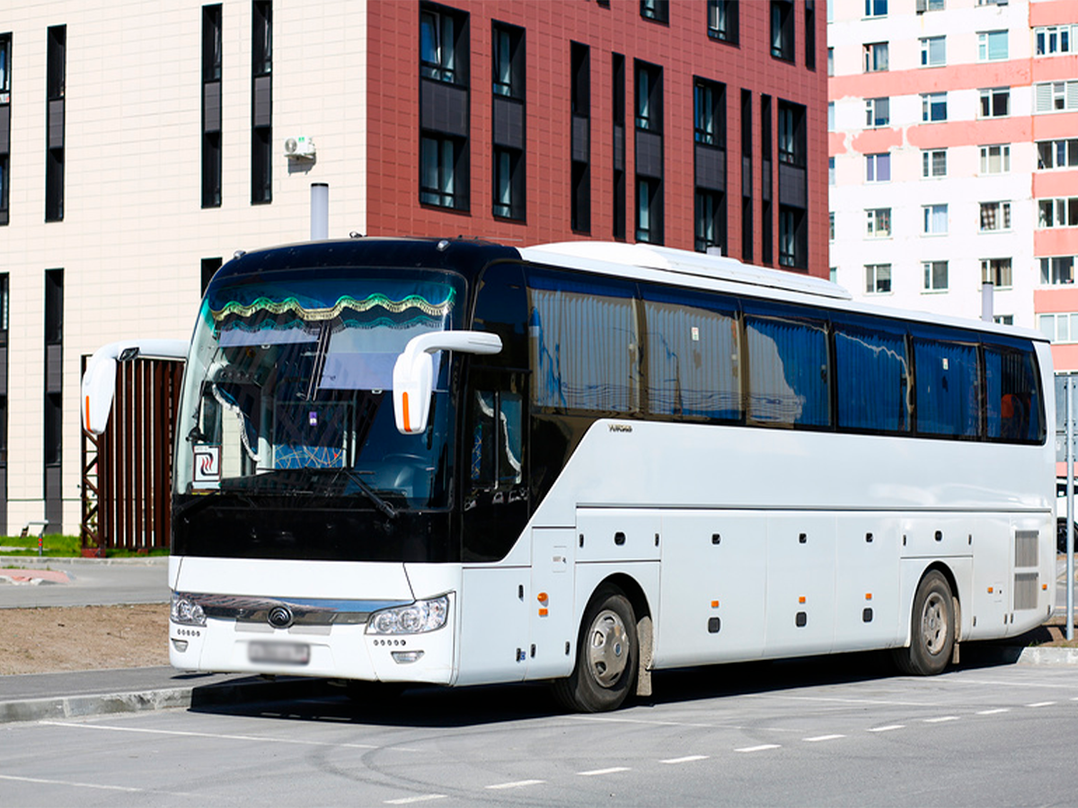 Источник изображения: фотобанк Лори