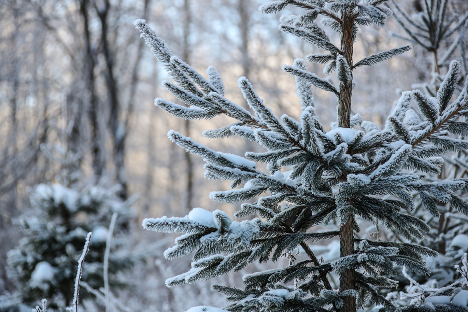    Сергей Лантюхов/NEWS.ru