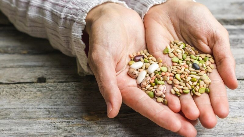     Семена. freepik.com/wirestock