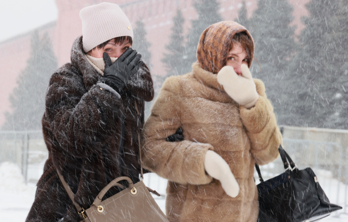 Михаил Метцель/ТАСС