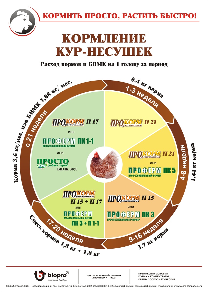 Продукты и нормы расхода для несушки.