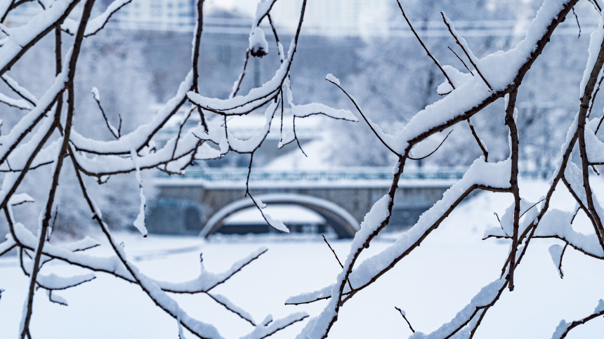    Фото: ИЗВЕСТИЯ/Константин Кокошкин