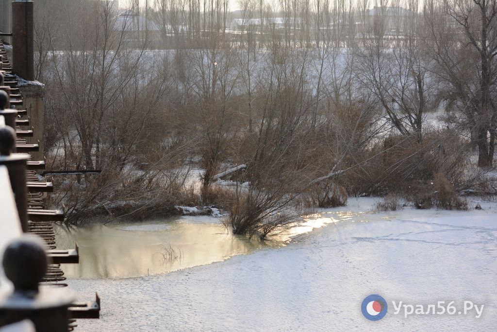    Уровень Урала в районе Орска после увеличения сброса с Ириклы поднялся на 9 см