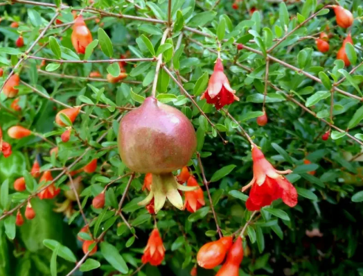 Источник фото: demo.exotic-tm.ru