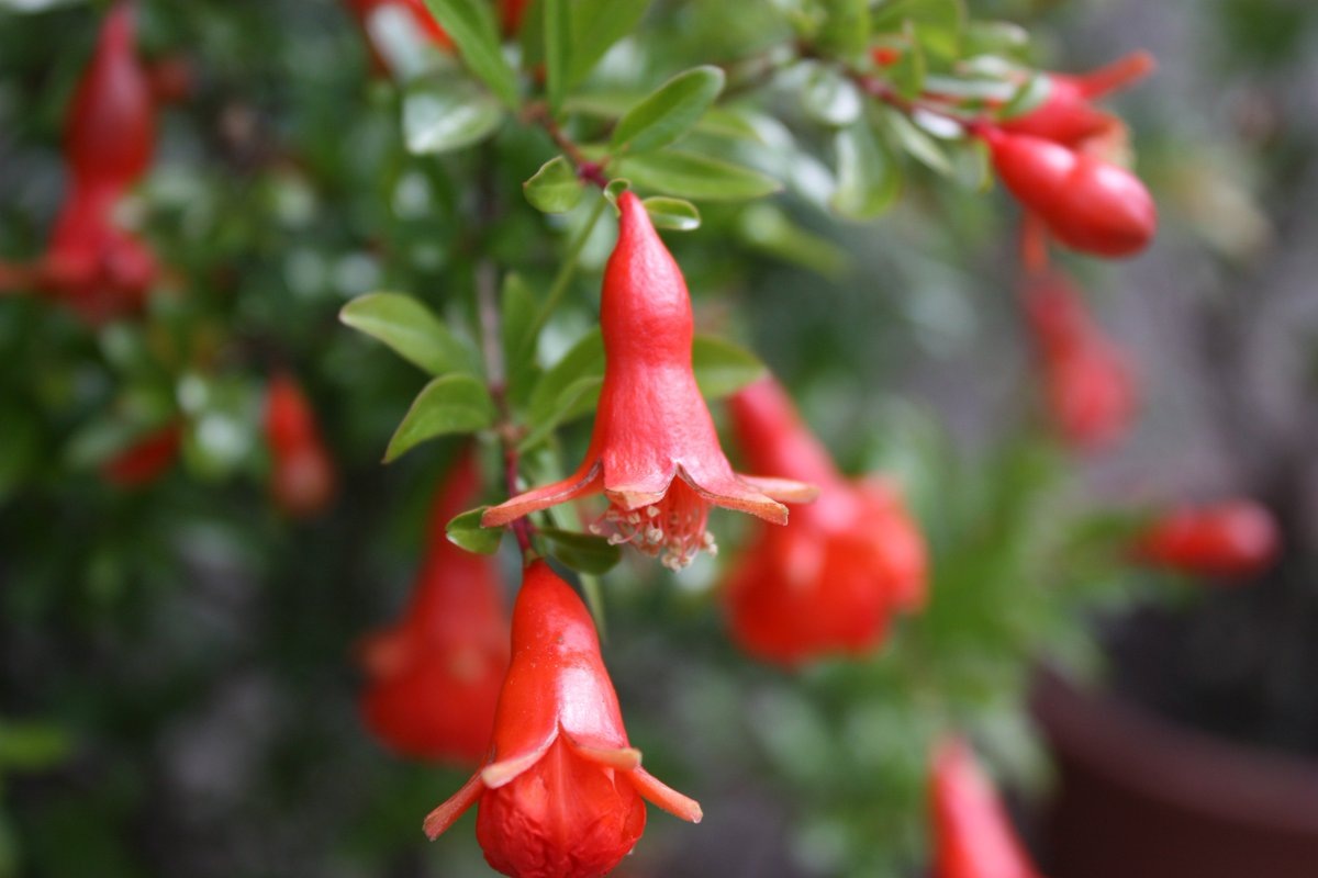 Источник фото: svoyabesedka.ru