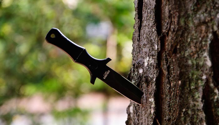 Источник Яндекс картинки