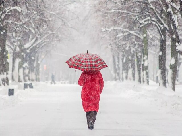    Фото: портал мэра и правительства Москвы/Юлия Иванко