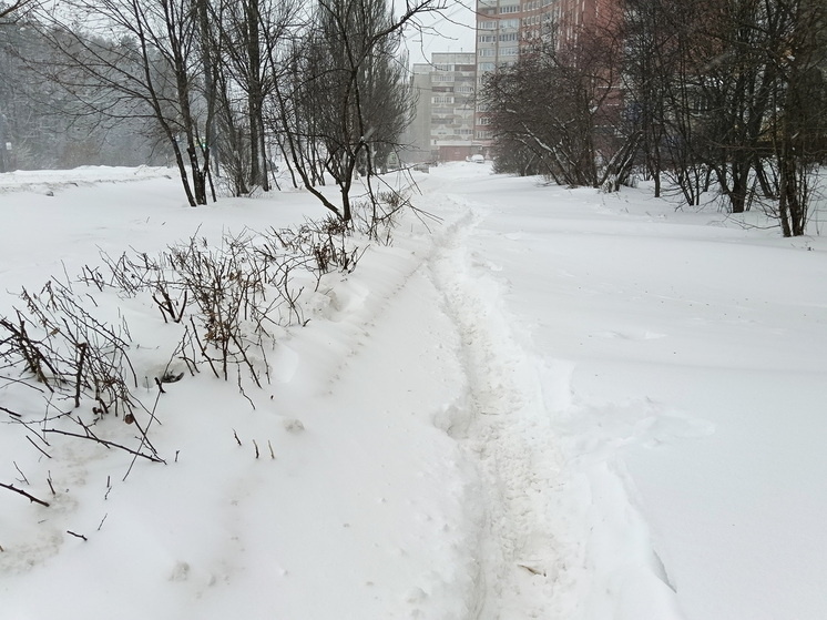   Анастасия Петрова