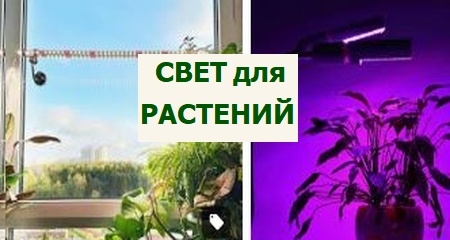свет для растений
