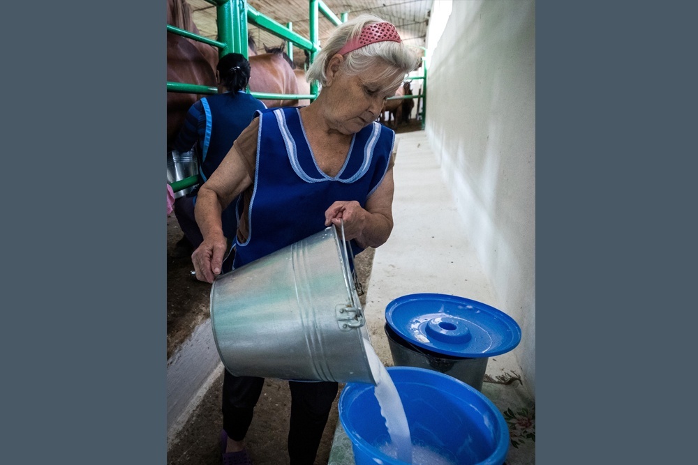    Организм человека легко усваивает питательные элементы напитка. / Сергей Мальгавко/ТАСС