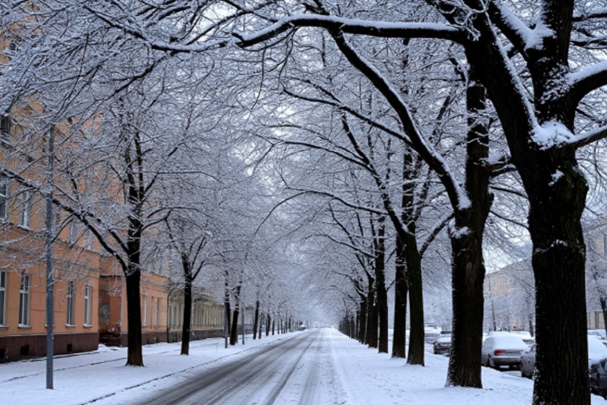    Фото: коллаж RuNews24.ru