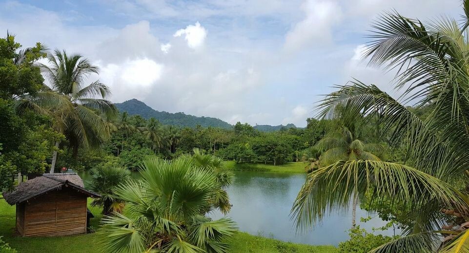    «Подмосковье сегодня»/Сгенерировано нейросетью