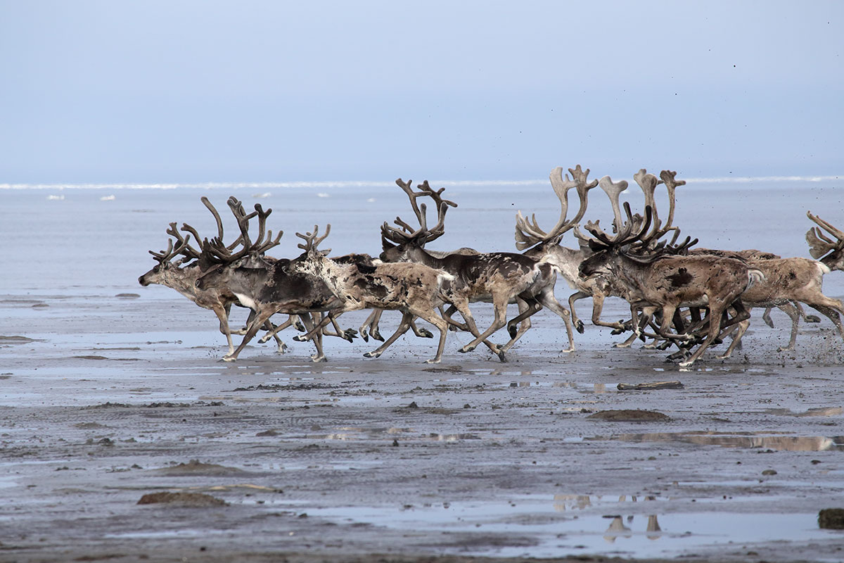Фото: Сергей Карпухин / GeoPhoto