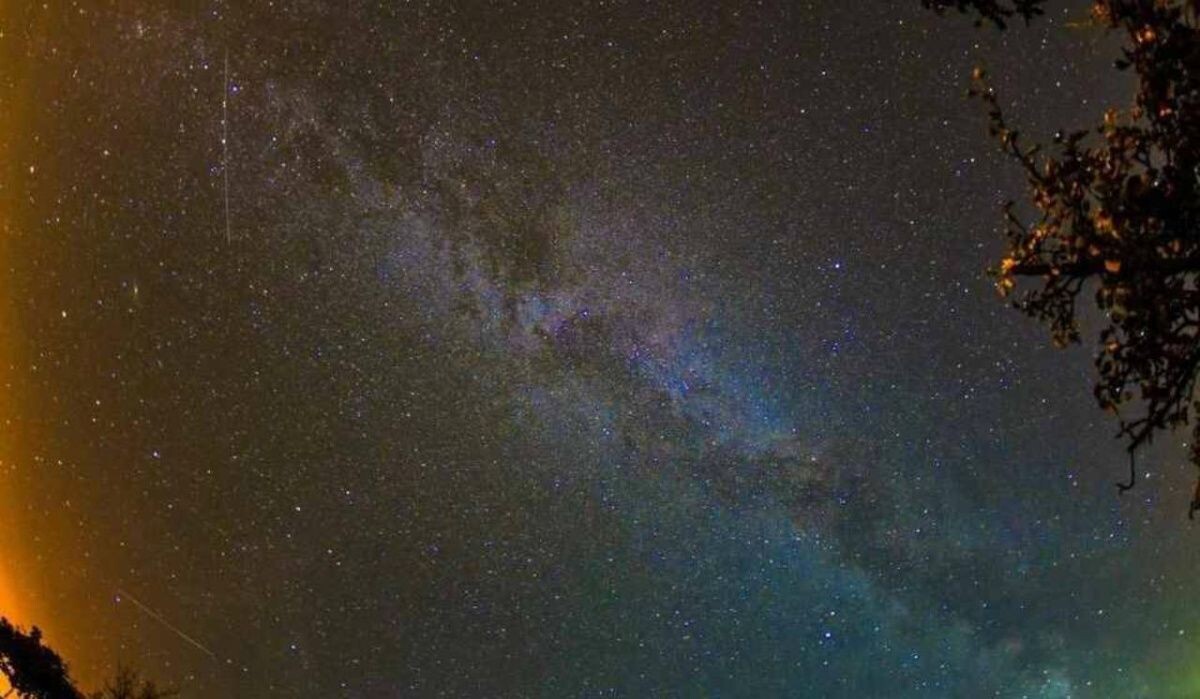     Звездное небо. Источник: nsk.kp.ru Автор фото: Михаил Фролов