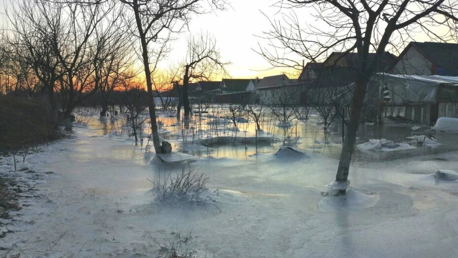    Автор фото: t.me/podslushano_rossosh