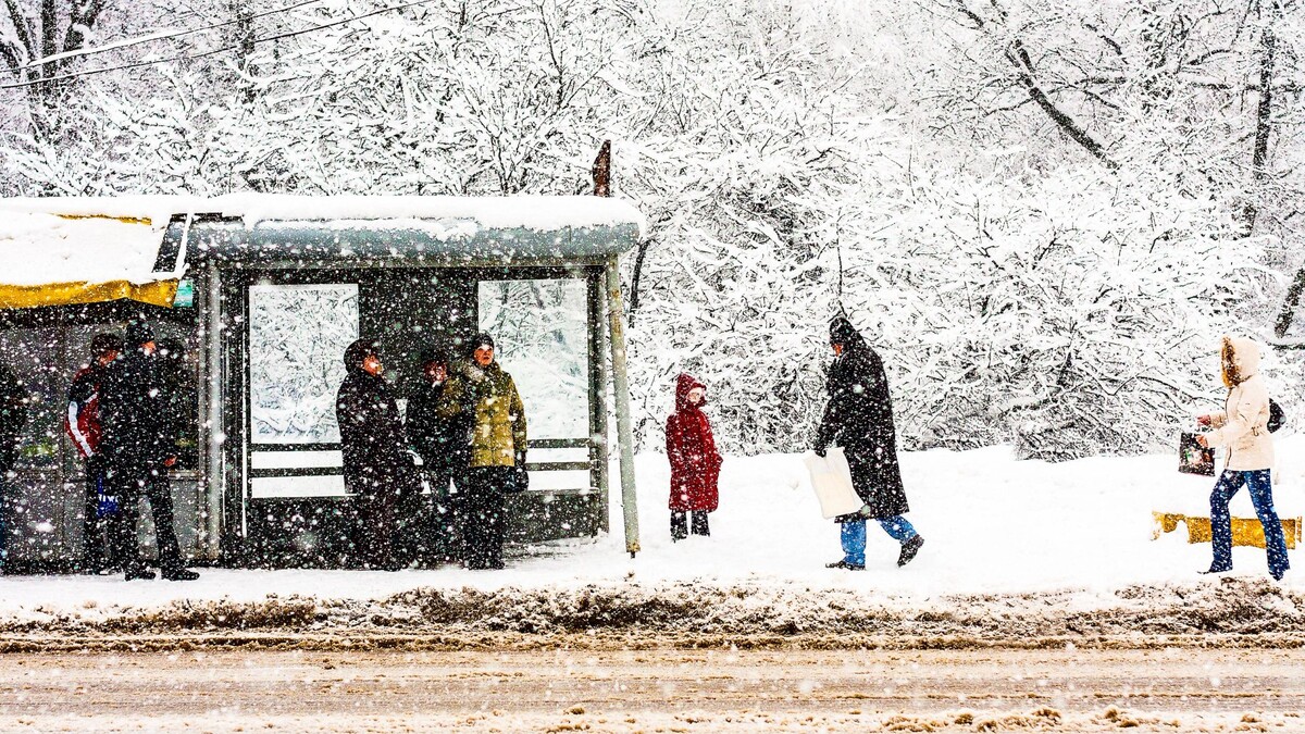    Фото: Paravyan Eduard/Shutterstock/Fotodom