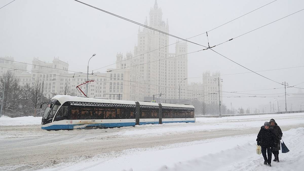    Фото: Ярослав Чингаев / АГН Москва