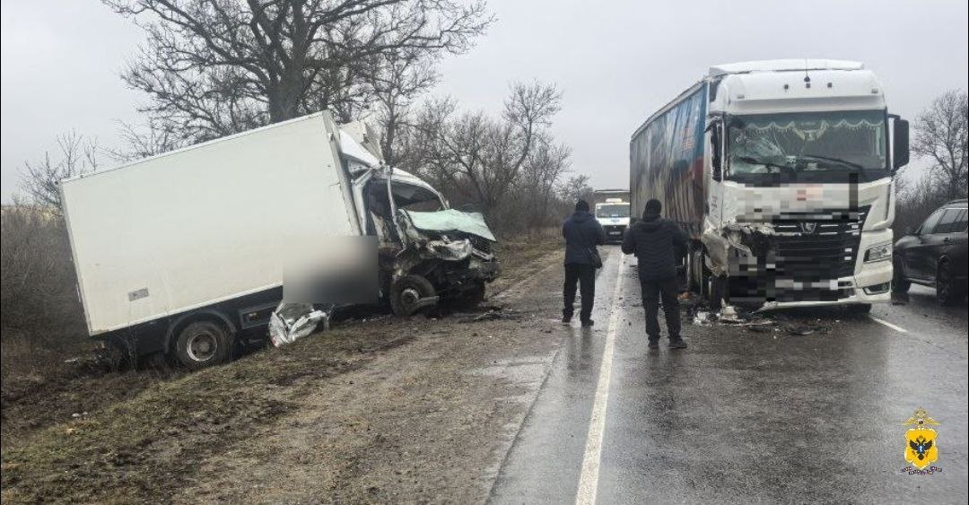    Фото: ГУ МВД России по Херсонской области