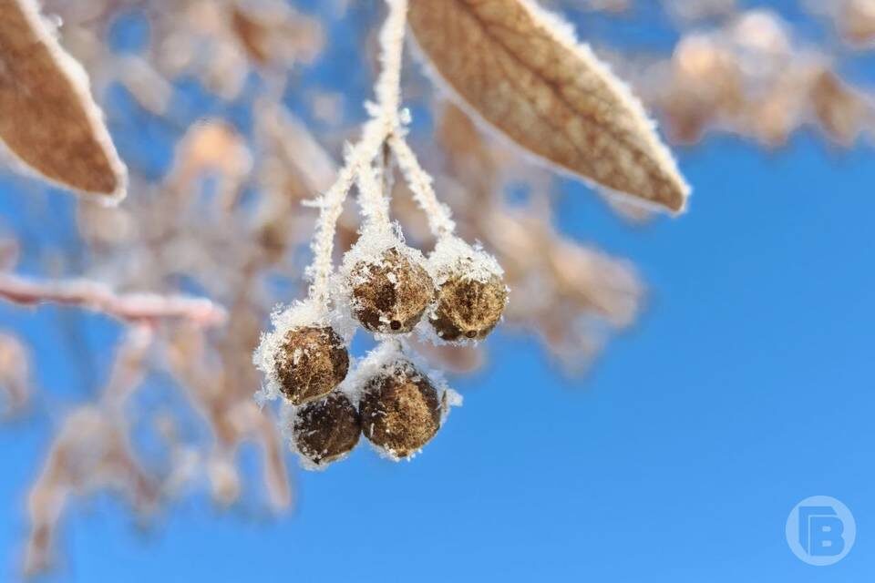    Фото: "Городские вести"