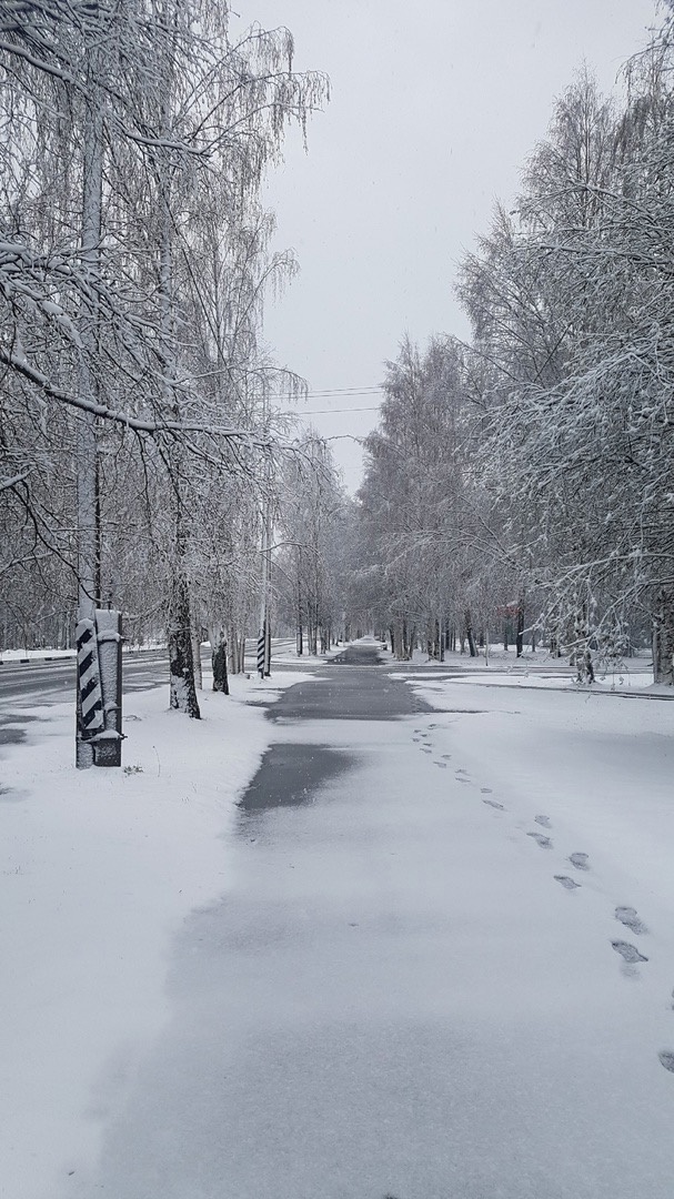    Снегопад в п. Лоухи 22.05.2025. Фото: Татьяна Пескова/ личная страницы ВКонтакте