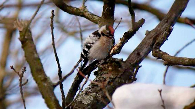 Фото: Людмила Горбунова